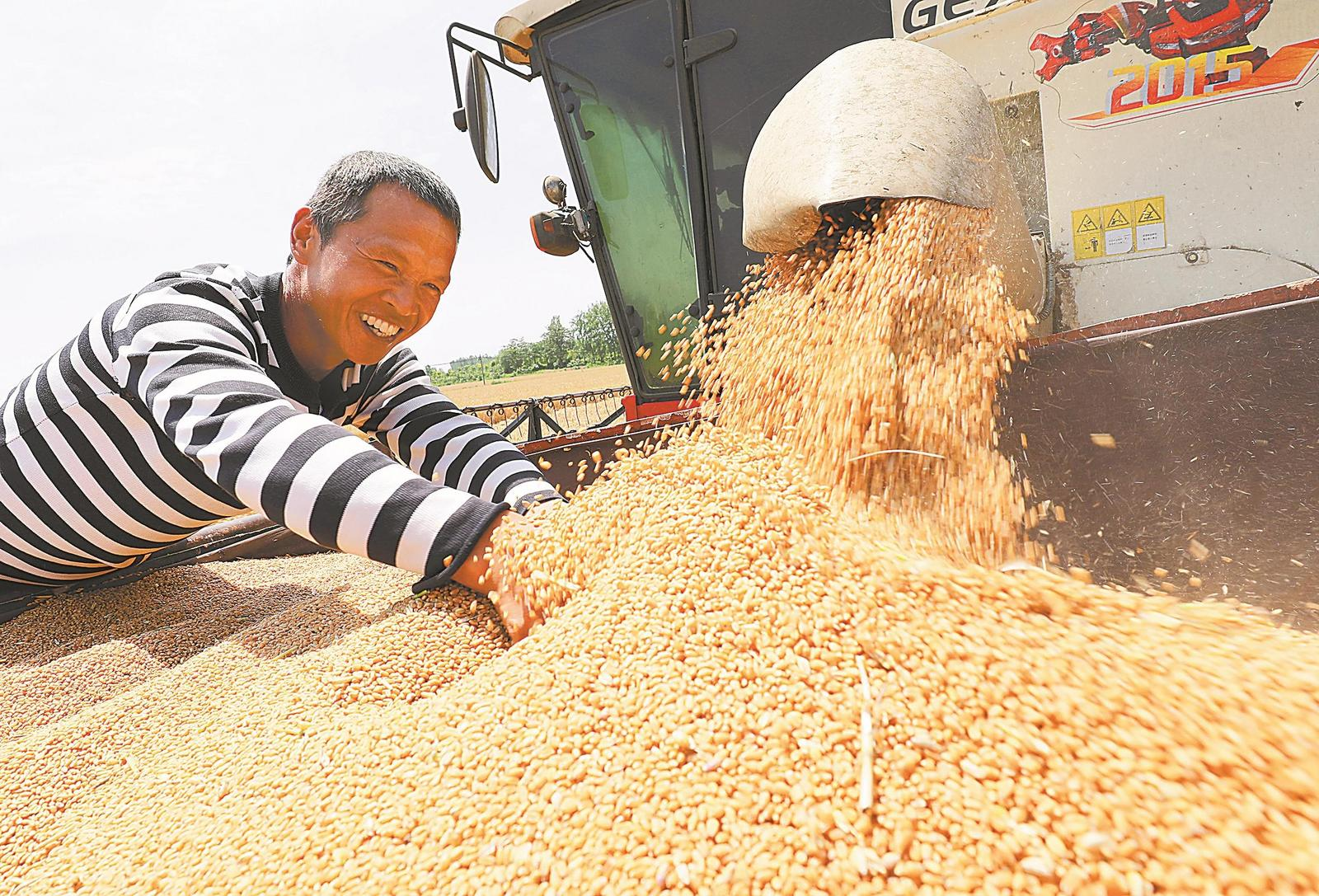 安徽省加強機具調度搶收小麥 已收獲超3000萬畝